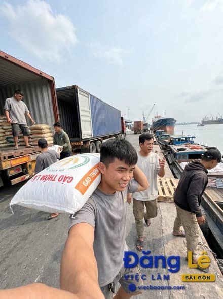 TUYỂN NAM BỐC XẾP HÀNG HÓA CẢNG TÀU